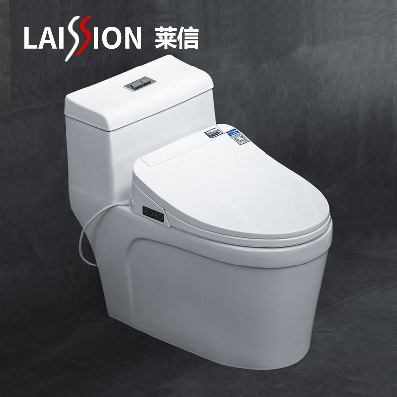 No water pressure limit fully automatic water pumping intelligent toilet rear water rear water integrated wall row multifunction with water tank for sitting