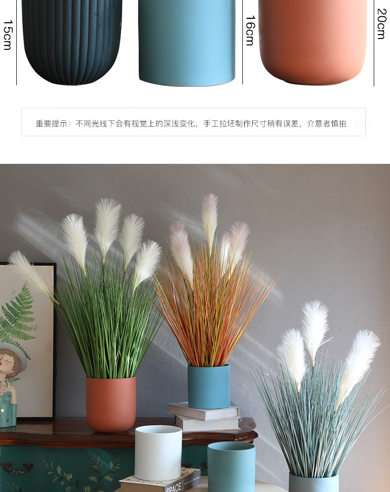 Nordic I and contracted marca dragon fleshy flowerpot ceramic vase of large diameter reed money plant butterfly orchid flower POTS