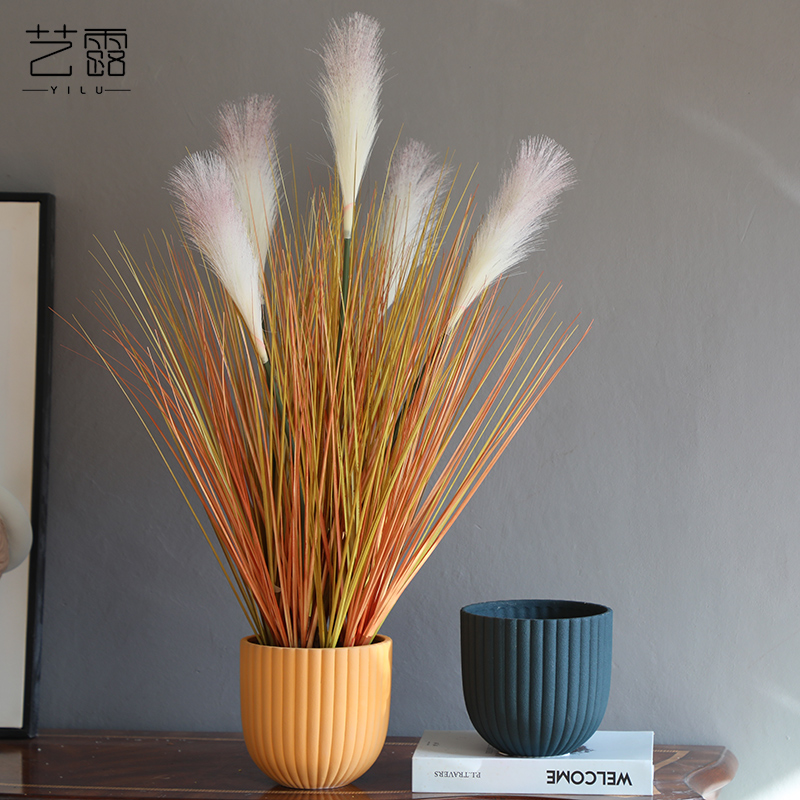 Nordic I and contracted marca dragon fleshy flowerpot ceramic vase of large diameter reed money plant butterfly orchid flower POTS