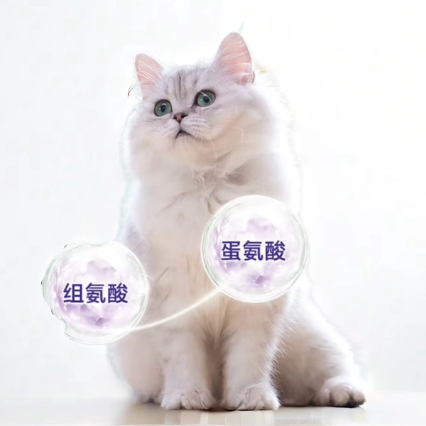 酱酱猫宠店