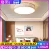 LED ceiling lamp Atmospheric living room lamp Warm bedroom study Stylish simple modern dining room round lighting Meteor