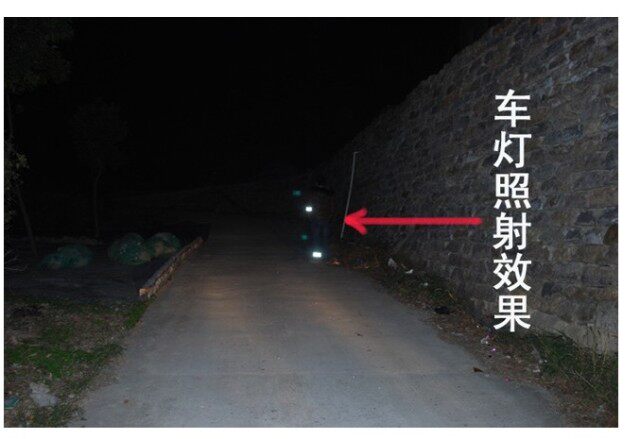 Décoration pour vélo - Ref 2280356 Image 23