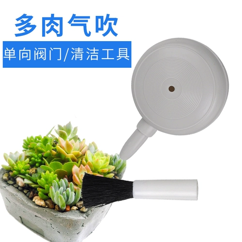 Мультисаны чистящий инструмент Qi Blowing Gardening Plant Мясо, виды мяса, удаление пыли, мощная крупная кожаная щетка