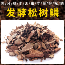Fermented pine bark decomposed pine tree phosphorus orchid soil Dendrobium candidum special nutrient soil medium orchid plant flower soil