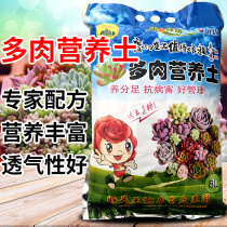 Succulents dedicated nutrient soil pavement soil granular soil general-purpose household offers clearance jing ji zhuang