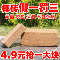 Desalination coconut brick flower-raising household nutrient soil coconut coir coconut Bran succulent plant Universal Soil flower fertilizer soil planting soil