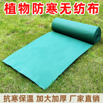 Plant cold-proof cloth whole roll road road on both sides of the road green tree wind-proof sand-proof cold-proof non-woven geotextile