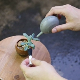 Мультисаны чистящий инструмент Qi Blowing Gardening Plant Мясо, виды мяса, удаление пыли, мощная крупная кожаная щетка