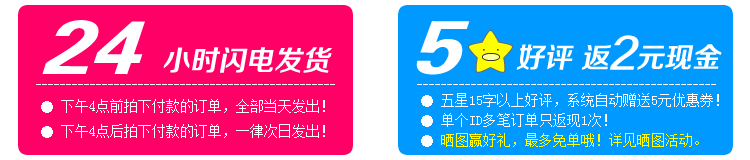 Skateboard pour homme femme enfant      - Ref 2593741 Image 12