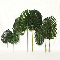 Photography props green plant creative simulation green leaf Photo childrens photo tortoise back leaf hipster Nordic ins