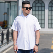 Fat guy mens summer clothes Tide mens casual loose short sleeve shirt plus fat plus size fat half sleeve shirt