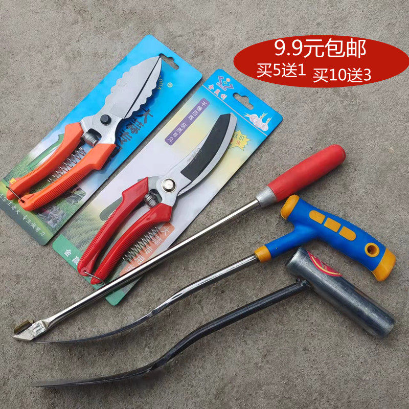 Garlic Scissors Onion garlic Head special Cut and cut garlic Garlic Root Garlic Stem Cut Garlic Cloves garlic Garlic Shovel