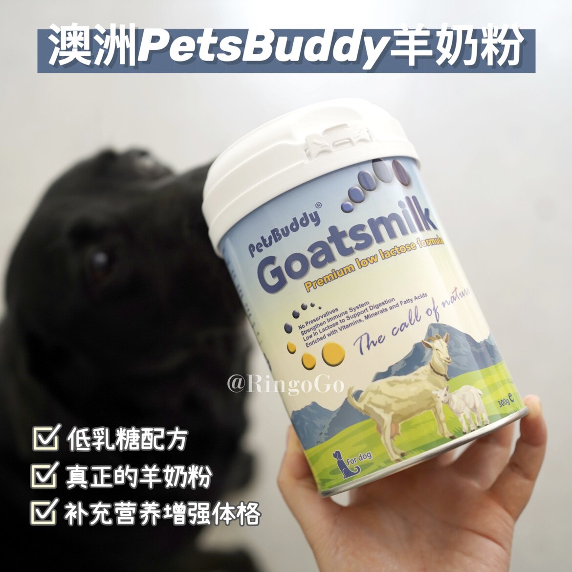 Good milk is not expensive yet RingoGo Australia PetsBuddy cat dog pet goat milk powder immunization 300g