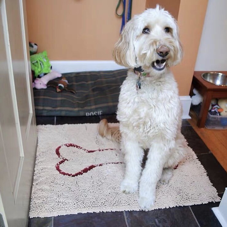 Ground mat RingoGo SOGGY DOGGY Original factory Pets Absorbent Cool Mat On-board Cushion Door Mat