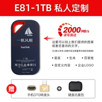 E81-1T Speed ​​2000 МБ/с +индивидуальная гравировка