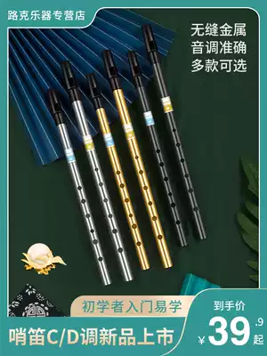 DBAO Irish whistle beginner entrance metal whistle 6-hole C tune D treble metal flute recorder