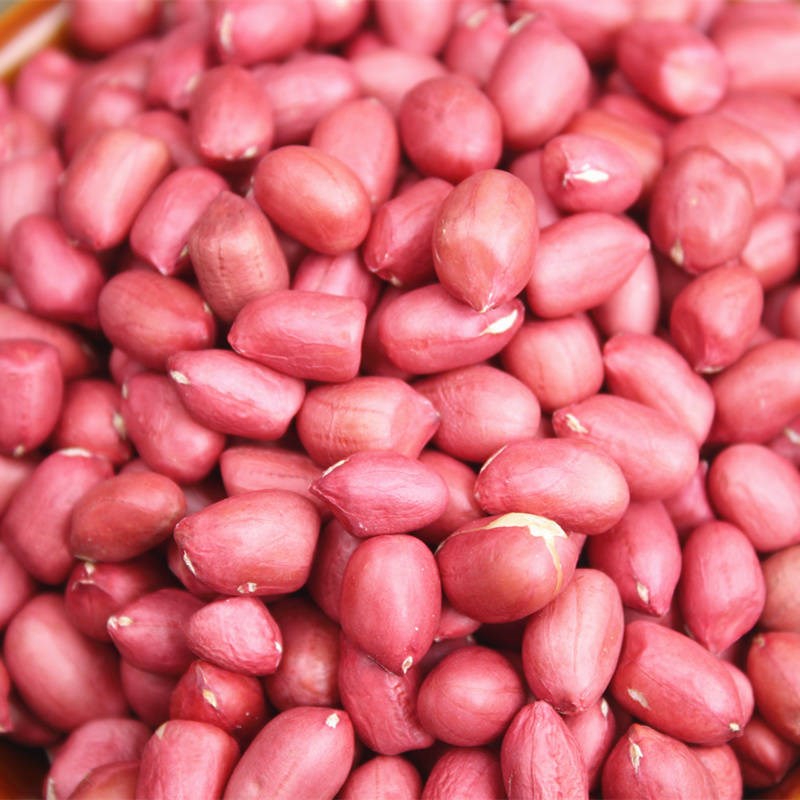 5 Kg Raw Peanut Rice Farm Red Peanut Rice 3 Catty New Stock Small Four Grain Red Coat Raw Taste Red Peel Peanut rice