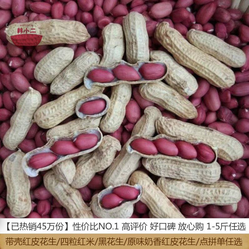 New Goods (Available in Raw and Fried Multi-specifications) Four Red Peanut Fruits Original Longyan Red Peanut