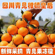 Sichuan Green See Citrus Ugly Orange Orange Fruit Fresh Seasonal Fruit Ugly Orange Orange Fruit Non-Baba Orange