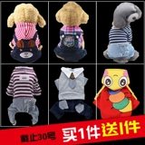 Собачья одежда Тедди весна и осенняя весна и осень четыре квадрата сгущают оба квадратных домашних животных домашних животных щенков щенка Осень и зима