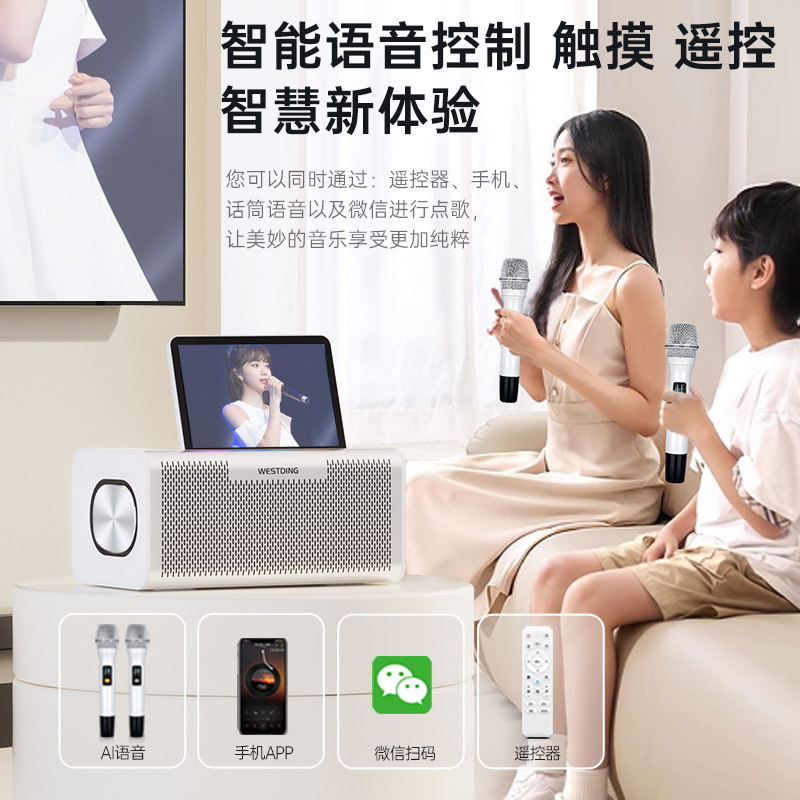Westin Karaoke Audio Microphone All-In-One Home Ktv Singing Machine Home Karaoke Microphone Complete Set