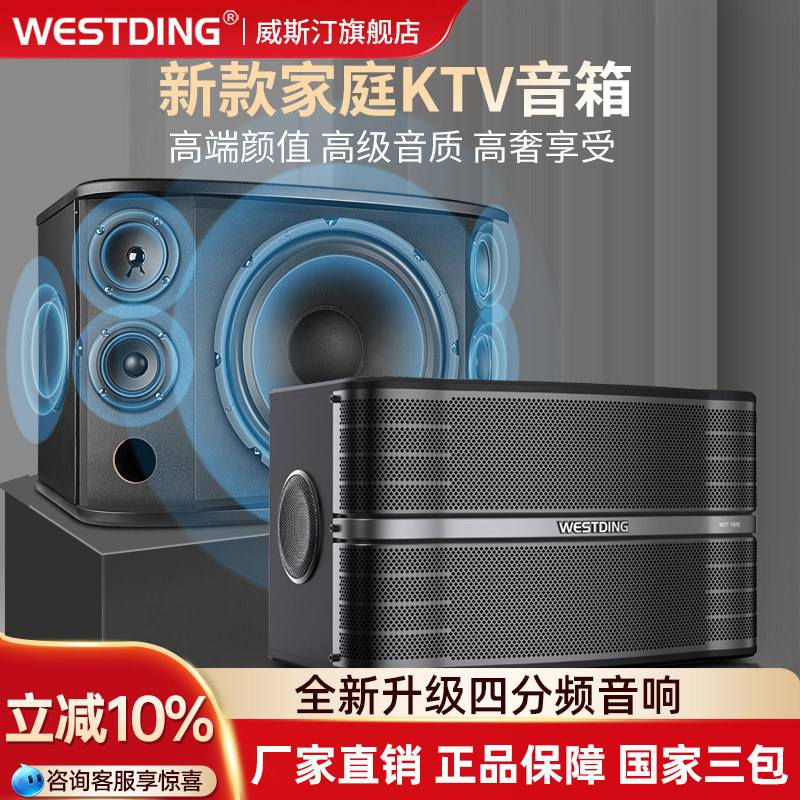 Westin Family Ktv Audio Professional Singing Karaoke Conference Room 10inch Karaoke Speaker Home K-Song Equipment