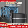Westin Family Ktv Audio Professional Singing Karaoke Conference Room 10inch Karaoke Speaker Home K-Song Equipment