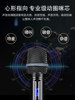 Westin Stage-Grade Anti-Howling Wireless Microphone for Ktv Home Karaoke Dynamic Microphone with Noise Reduction