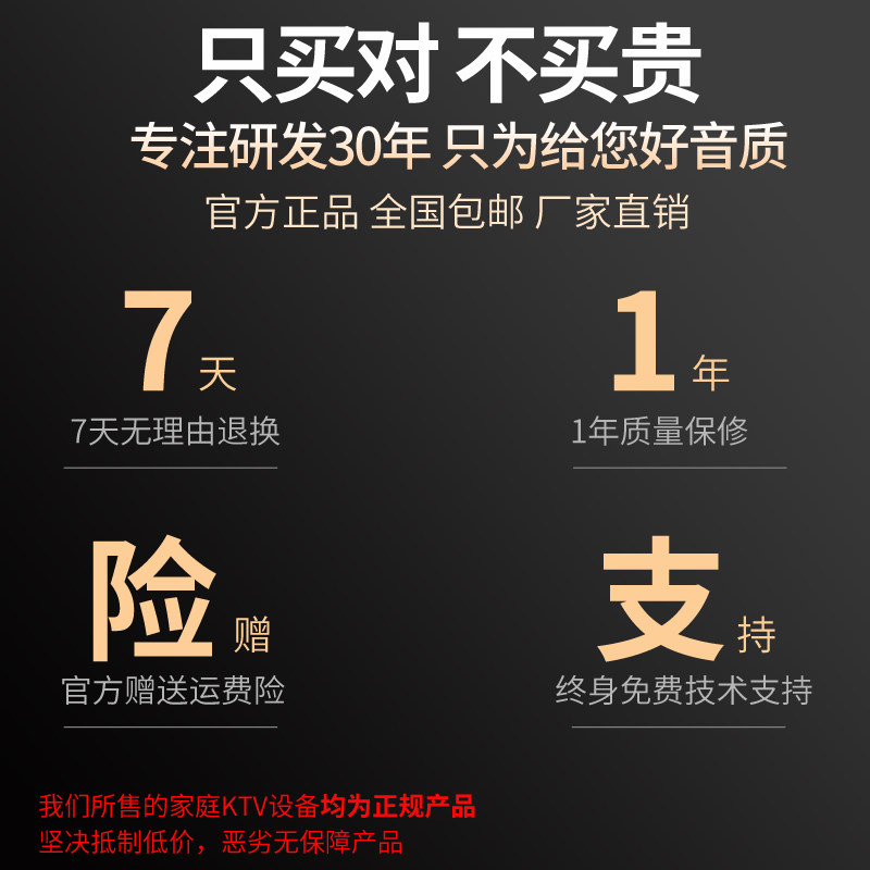 Westin Family Ktv Audio Professional Singing Karaoke Conference Room 10inch Karaoke Speaker Home K-Song Equipment