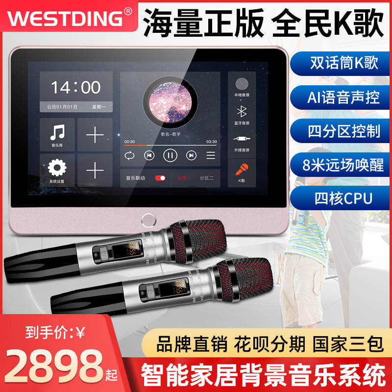 Westin XT12 Smart Home Whole House Controller System Background Music Host Home Ceiling Sound Kit