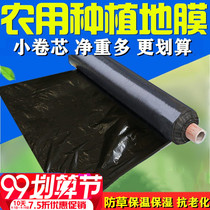 Agricultural heat preservation wet plastic film adhesive paper anti-weeding black film Black film building vegetable strawberry watermelon film