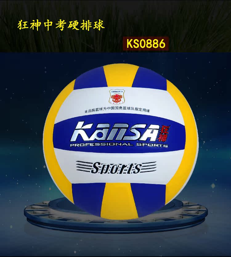 Ballon de volley - Ref 2010300 Image 42