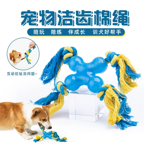 Yitte Dog Toy Toy Ballestaint Toys Toys Toys Home unclean artifact Pet Dog Toy дразнить артефакт собаки