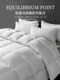 Yalu 2026 New down Quilt 90% White Duck down Quilt Winter Quilt Thickened Warm Five-Star Hotel Spring and Autumn Quilt Core