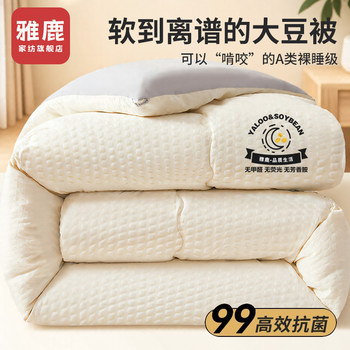 Yalu Soybean Fiber Quilt Core, Single-Person Thickened Winter Quilt, Spring and Autumn Quilt, Cotton Quilt, Air-Conditioning Quilt, Suitable for All Seasons