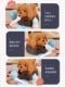 Children's toys dog walking, barking and moving baby simulation electric plush puppy boy pet dog girl