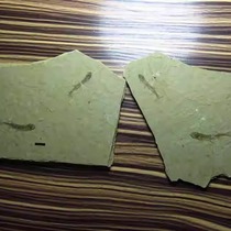 Liaoxi Fossil Fossil Wolffin Fish Fossil Liutiaogou nf357 Liutiaogou