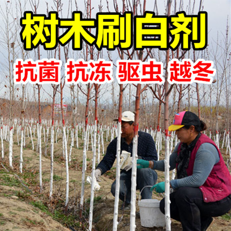 Tree whitener Trunk brush white brush tree powder Fruit tree trunk pest control winter sterilization Tree quicklime powder