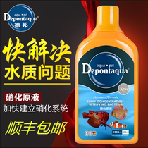 Debon Nitrifying Bacteria Nitrifying Bacteria Nitrifying Bacteria Water Stabilizer for Fishery Koi Fish Medicine