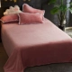 Winter Flannel Chăn Fale Velvet Sheets Nữ sinh viên Ký túc xá Độc thân Nam Dày Tấm nhung san hô