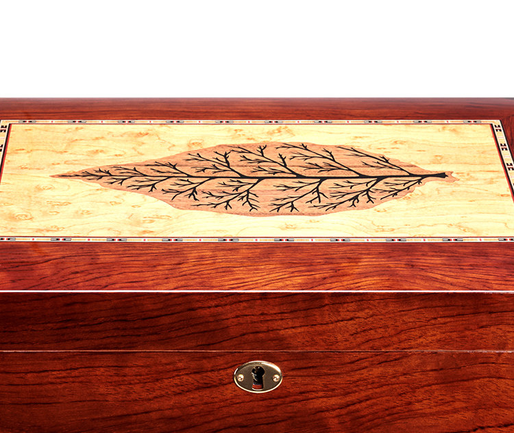 Новая сигара Box_06.jpg