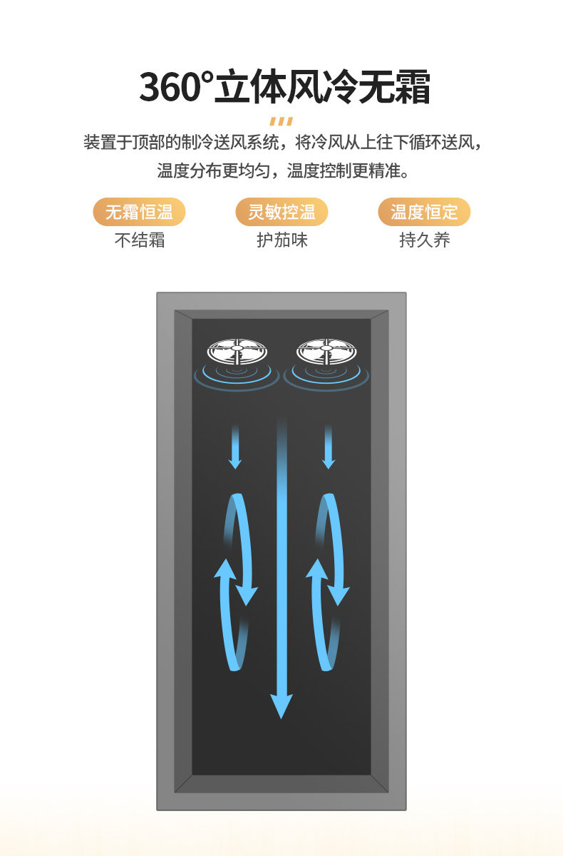 188CT3 TEA DETALING_16.JPG