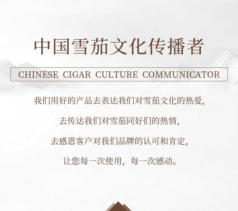 Детали вставки сигар_20.jpg