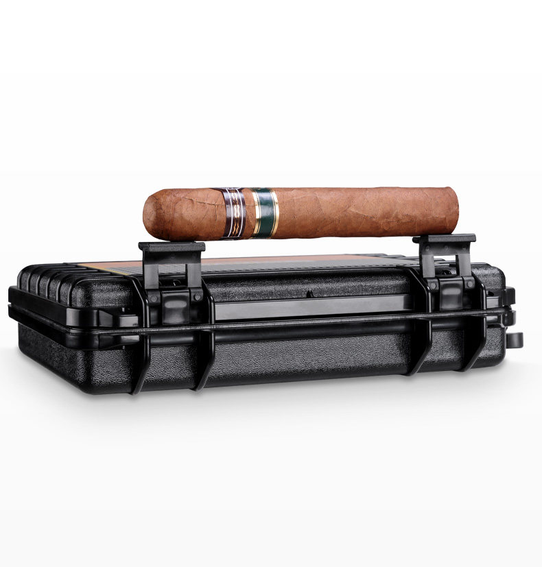 CLA-B0051 --- Желтый Dragon_11.jpg