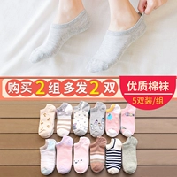 Vớ nữ vớ vớ nữ vớ cotton nông miệng mùa hè mỏng Hàn Quốc 9,9 gói sản xuất bán buôn giúp đỡ dễ thương - Vớ hàng tuần quần tất nhung