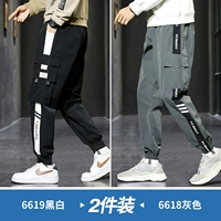 6619 Черно -белый +6618 серый