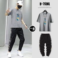 T0191 Темно -серый + 818 черный