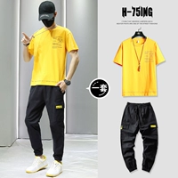 M31 желтый + 832 черный