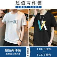 T1073 White+T0376 Black