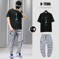 T0191 Black + 851 Grey